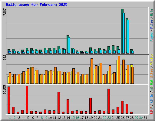 Daily usage for February 2025