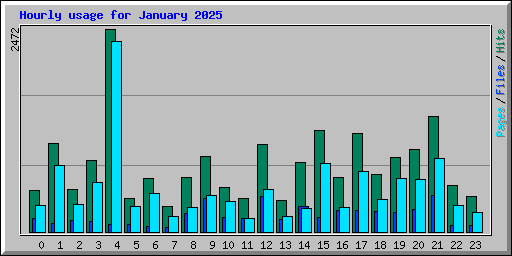 Hourly usage for January 2025