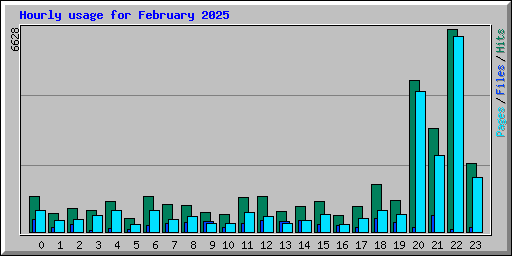 Hourly usage for February 2025