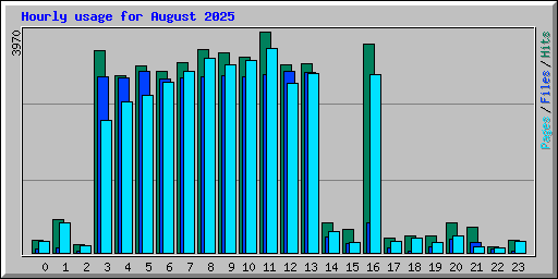 Hourly usage for August 2025